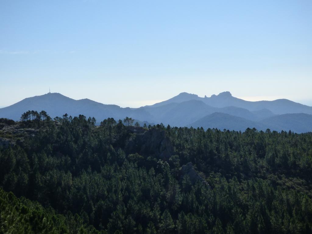 Chambres D'Hotes Vue Mer L'Esterel Panoramique Saint-Jean-de-l'Esterel Dış mekan fotoğraf